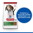 Hill's Science Plan Puppy Medium Cordero y arroz Pienso para perros, , large image number null